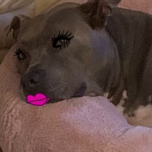 Meet your Posher, Addison